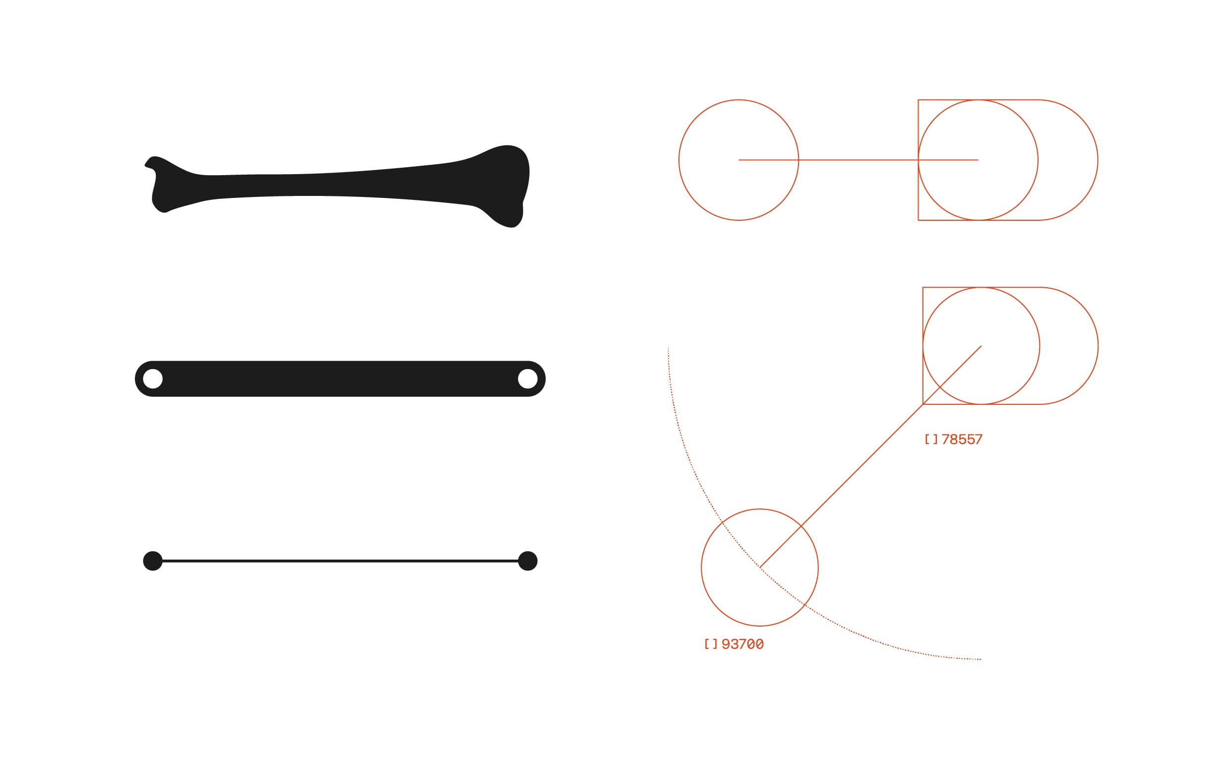 Dezfulian Orthopädie Brand Design, Zeughaus Design